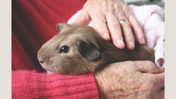 Pet therapy at Ilford care home